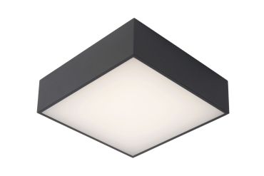 Lucide Roxane - plafondverlichting - 24 x 24 x 7,1 cm - 10W LED incl. - IP54 - antraciet